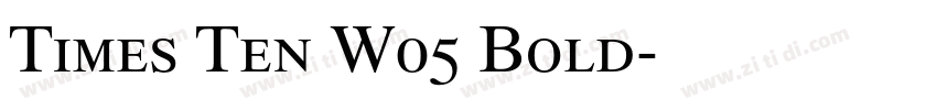 Times Ten W05 Bold字体转换